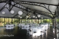 L'ORANGERIE DE LA MAISON BASSE