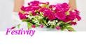 visiter le site internet de Festivity