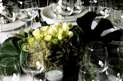 DECO-DESIGNER