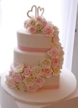 THE FRENCH CAKE COMPANY