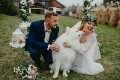 Mariage et animaux : 10 idées pour inclure votre chien ou votre chat le jour J (sans stress)