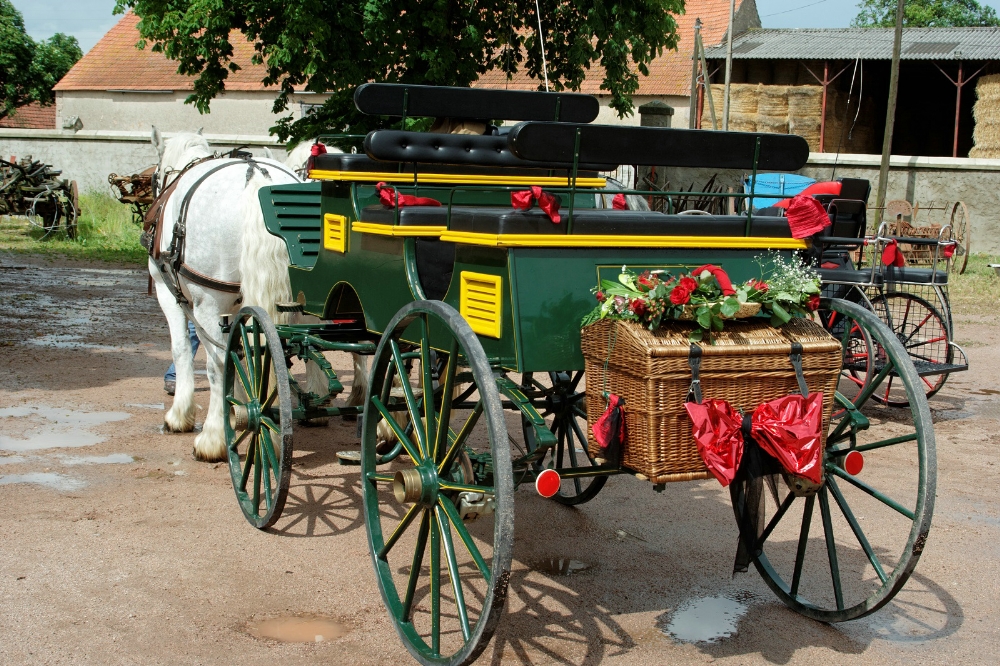 Pourquoi choisir une calèche pour un mariage ?