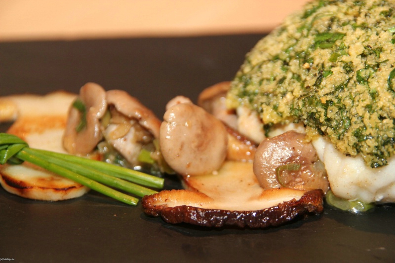 LA FERME DES OLIVIERS