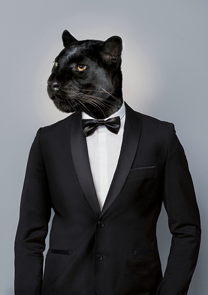 La Maison De Maitres Costumes Location De Costumes 1050 Bruxelles Belgique