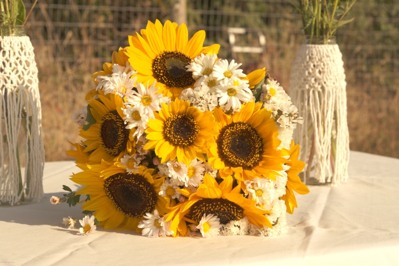 FLEURS D'ALTERRENATIVES