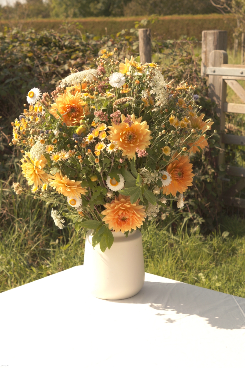 FLEURS D'ALTERRENATIVES