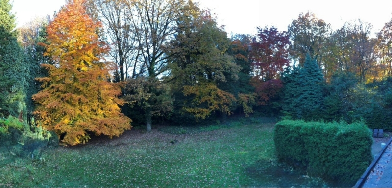 Villa des Bois-Sauvages