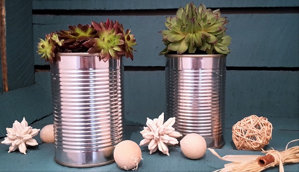 Succulentes en pot, des cadeaux originaux pour vos invités
